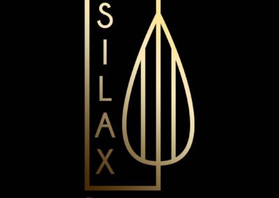 Pâtisserie – Silax – Fontenay (94)